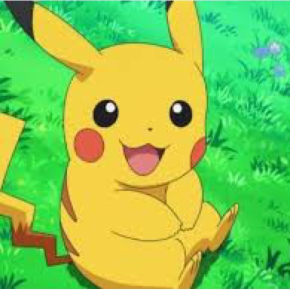 Meet your Posher, Newest - Picture 1 of 1